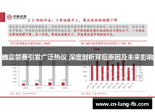 魏震禁赛引发广泛热议 深度剖析背后原因及未来影响