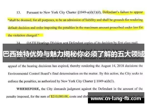 巴西独特优势与魅力揭秘你必须了解的五大领域