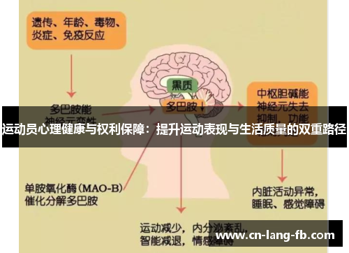 运动员心理健康与权利保障：提升运动表现与生活质量的双重路径