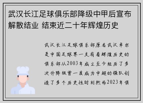 武汉长江足球俱乐部降级中甲后宣布解散结业 结束近二十年辉煌历史 武汉长江足球俱乐部降级中甲后宣布解散结业 结束近二十年辉煌历史
